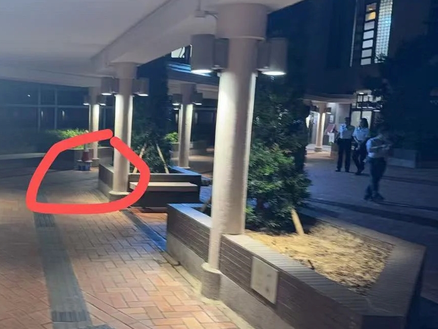 現場為般咸道港大校園內一花槽旁。小紅書:momo 現場為般咸道港大校園內一花槽旁。小紅書:momo
