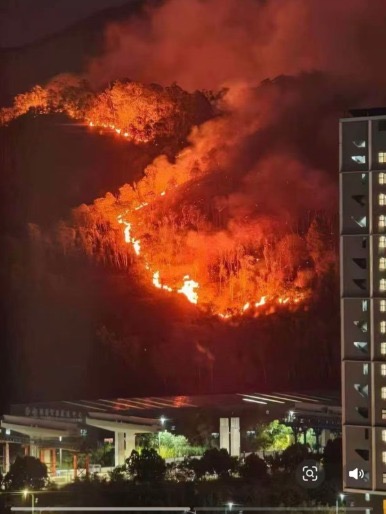 珠三角地區天氣極為乾燥,深圳坪山區突發山火。 珠三角地區天氣極為乾燥,深圳坪山區突發山火。