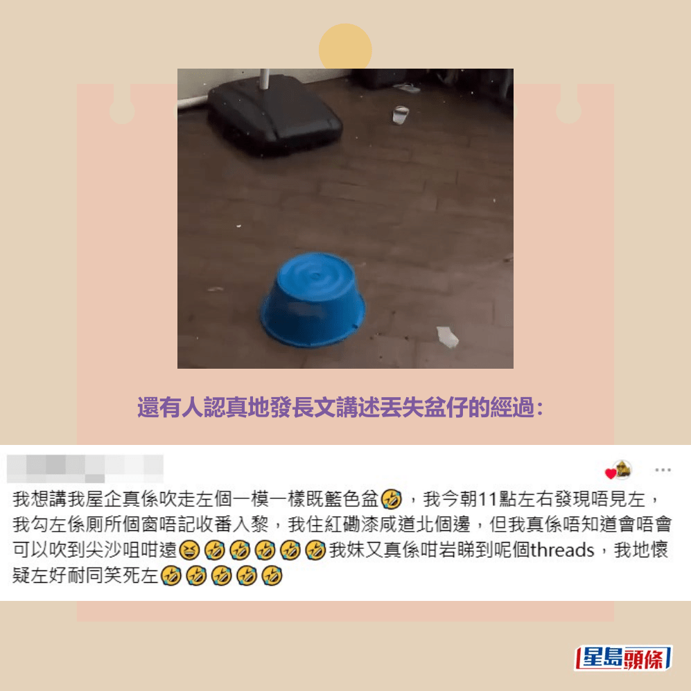 還有人認真地發長文講述丟失盆仔的經過：Threads截圖