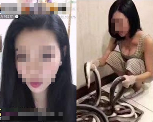 女网红去年因直播黄鳝塞下体被捕。网上图片