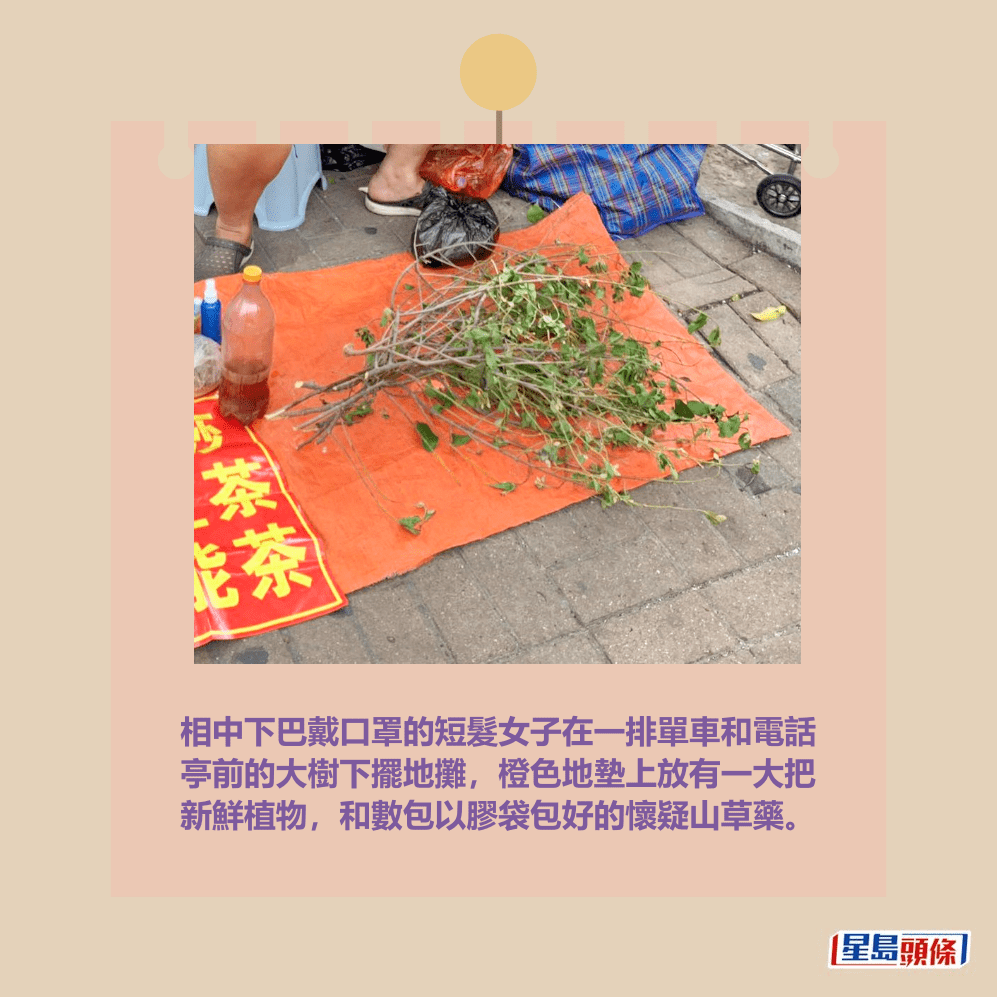相中下巴戴口罩的短髮女子在一排單車和電話 亭前的大樹下擺地攤,橙色地墊上放有一大把 新鮮植物,和數包以膠袋包好的懷疑山草藥。網上截圖 相中下巴戴口罩的短髮女子在一排單車和電話 亭前的大樹下擺地攤,橙色地墊上放有一大把 新鮮植物,和數包以膠袋包好的懷疑山草藥。網上截圖