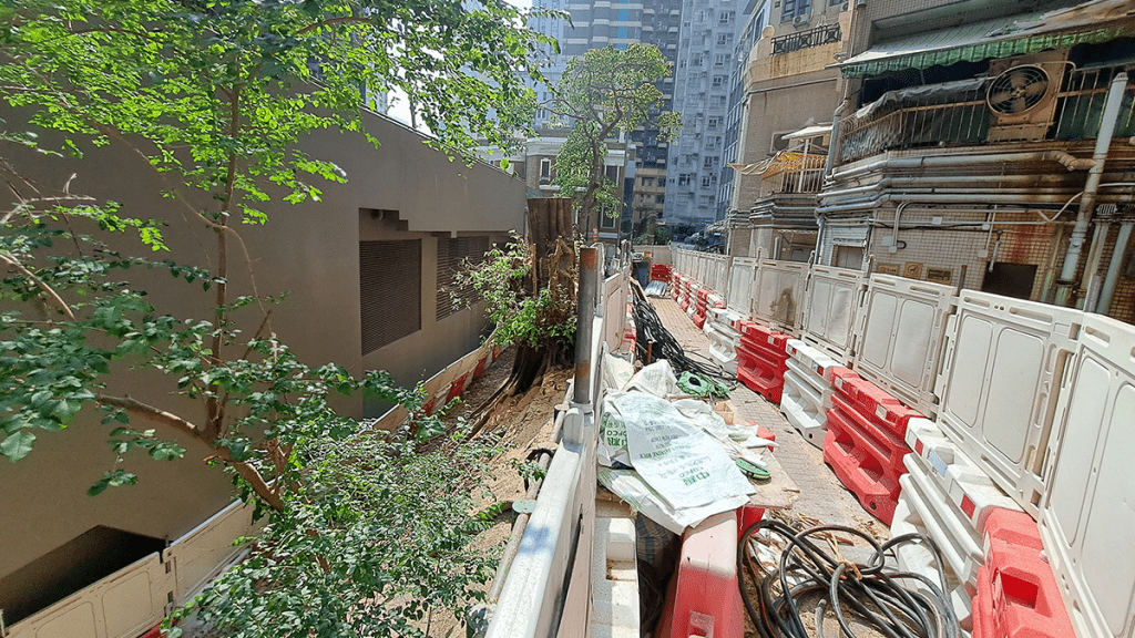 一名工人斬樹期間在樹內發現一個玻璃樽，入面載有液體及一具長約10多厘米、疑是胚胎的人形物體。