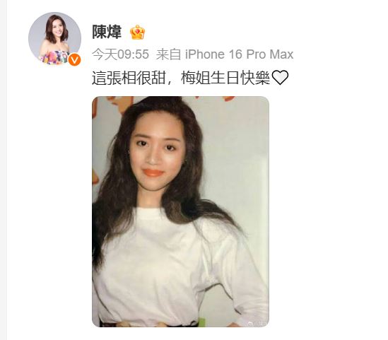 陳煒發文。