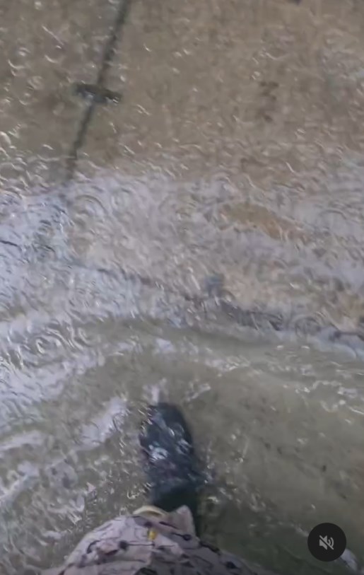 網民:只不過10秒,就由極少積水,變咗個BB池,好恐怖,第一次覺得著咗rain boots(水靴)都會入水,前面再行水深及膝…而且水嘅阻力好大,好難行。資料來源:berthalo@Threads 網民:只不過10秒,就由極少積水,變咗個BB池,好恐怖,第一次覺得著咗rain boots(水靴)都會入水,前面再行水深及膝…而且水嘅阻力好大,好難行。資料來源:berthalo@Threads