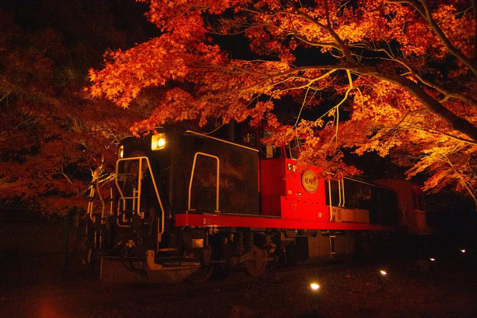 嵯峨野小火車沿途軌道，在秋日晚上會亮燈供人夜賞紅葉。
