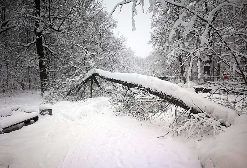 莫斯科史上最猛風雪。(網圖)