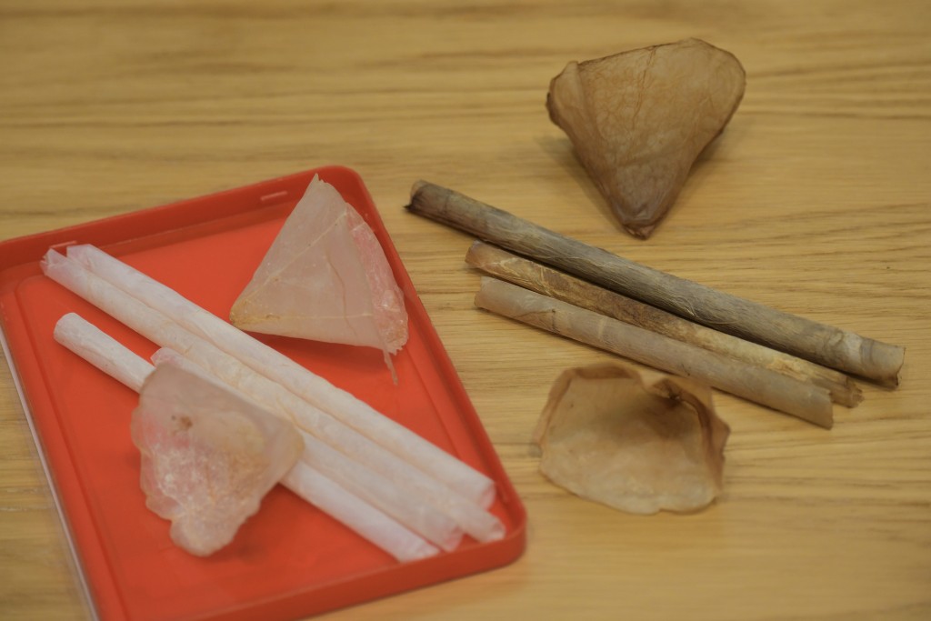 迦密柏雨中学研发出由红茶菌制成的即弃餐具。