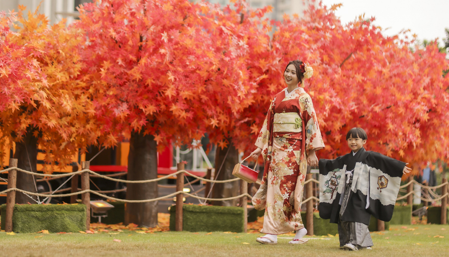 紅、橙、黃、綠、棕五色仿真楓葉，儼如置身日本嵐山。