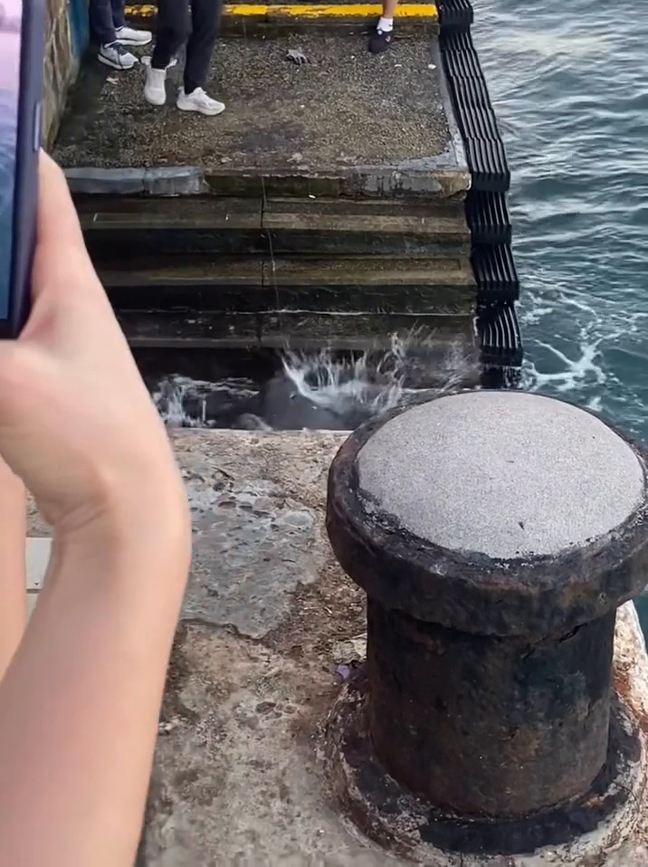 facebook截圖（資料來源：Ken Yu＠facebook筲箕灣西灣河關注組）