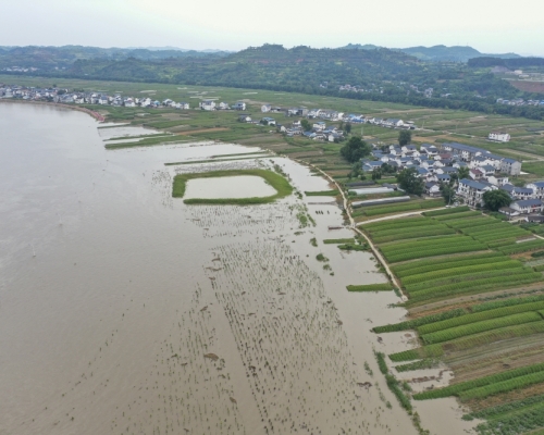 內地今年洪災已造成6346萬人次受災，致219人死亡失蹤。(新華社圖片)