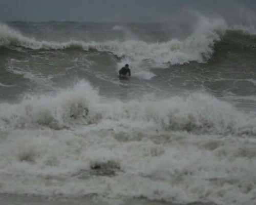 市民疑于大浪湾滑浪。Antony Dickson图片