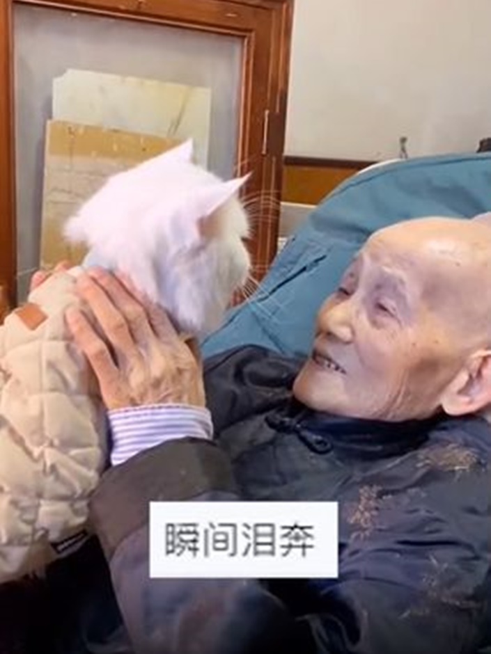 婆婆摸著爱猫尽显不舍之情。网图