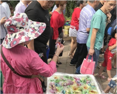 活魚活龜製成吊飾兜售。