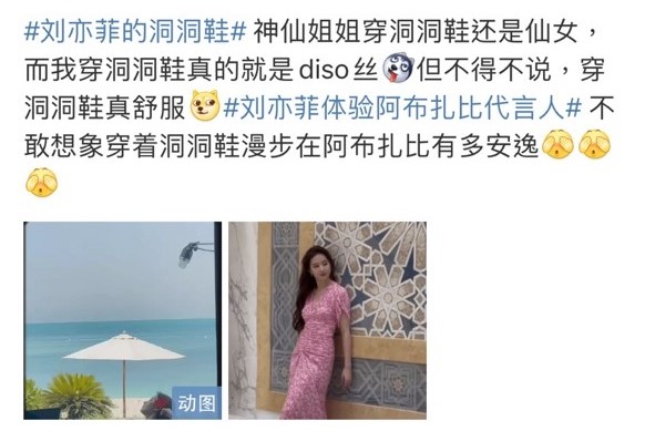 大批網民轉發劉亦菲的片段截圖。