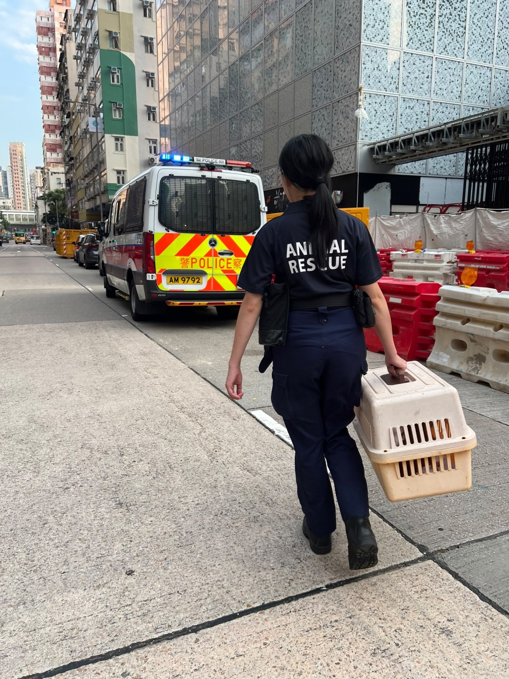 犬只由爱协检走作详细身体检查及照顾。爱协提供 犬只由爱协检走作详细身体检查及照顾。爱协提供