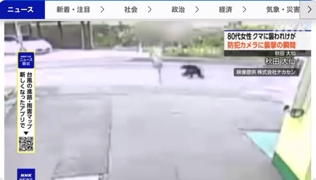 監視畫面顯示,老婦正在路上行走時,一頭體長約80公分的黑熊突然從後方衝出。NHK新聞畫面截圖 監視畫面顯示,老婦正在路上行走時,一頭體長約80公分的黑熊突然從後方衝出。NHK新聞畫面截圖