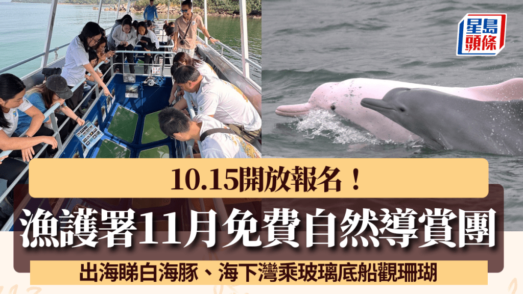 漁護署免費導賞團10.15開放報名！出海睇白海豚/海下灣乘玻璃底船 附報名方法