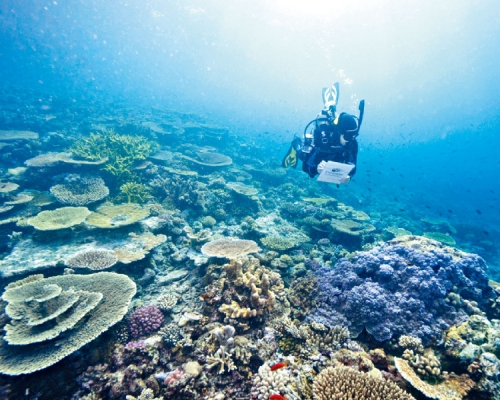 學者警告再不減低碳排放,將引發類似5600萬年前的生物大滅絕。AP資料圖片
