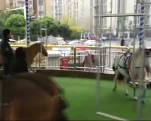 網曝四川成都萬達廣場上驚現「旋轉真馬」，馬匹被綁在圓形場地的鋼管上，跟着機器繞圈走，遊客就坐在馬背上。（網圖）