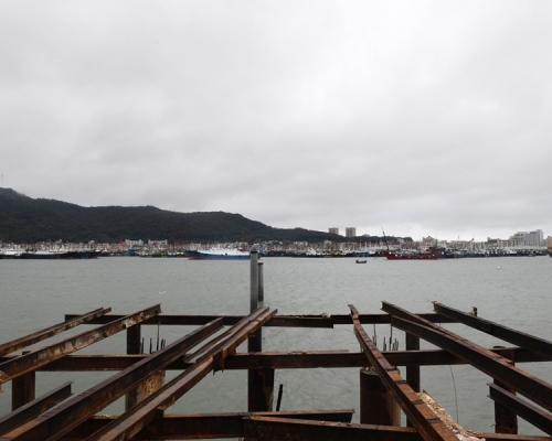 鸚鵡」在廣東省陽江市海陵島登陸。 新華社