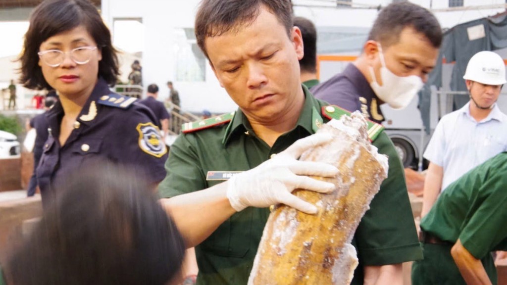 越南归仁港查获1.2吨非洲象牙。 美联社