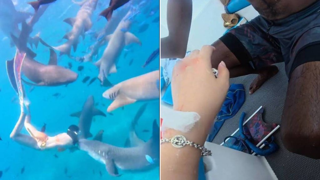 內地女遊客「大姨媽」到仍潛水，疑血腥味刺激鯊魚，導致手部被咬出血洞。抖音＠我愛藍色