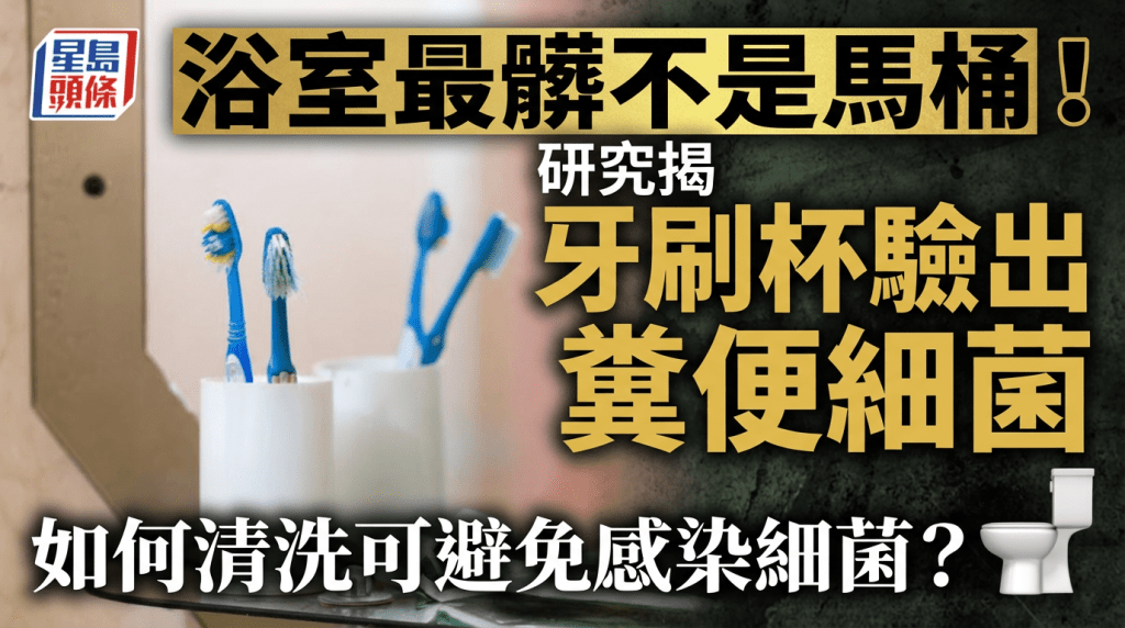 浴室最髒不是馬桶！研究揭牙刷杯驗出糞便細菌 如何清洗可避免感染細菌？