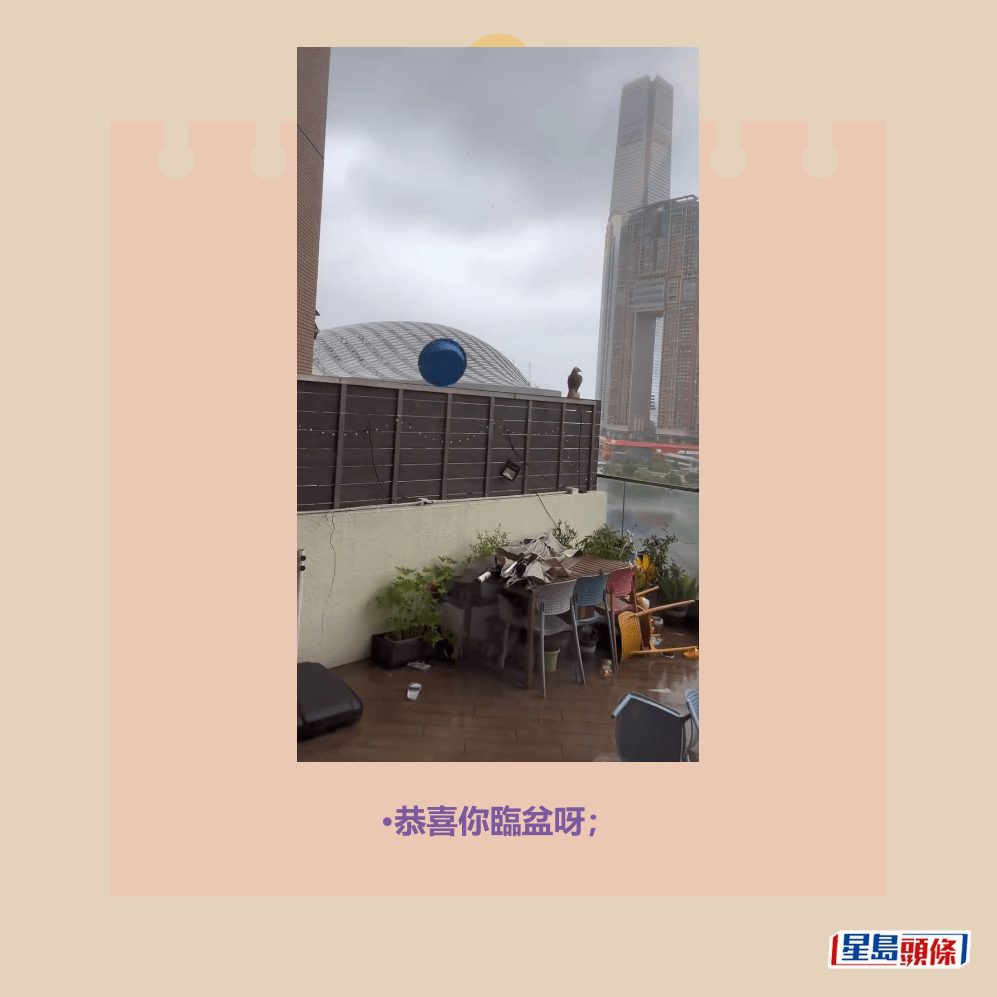 •恭喜你臨盆呀；Threads截圖