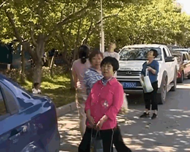 市民疯狂采摘。网图