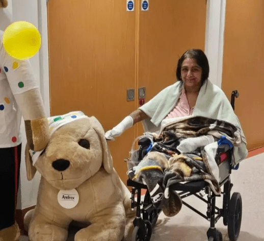 因为败血症,要切除切除双手及一对小腿,桑加住院长达32周。Gofundme 因为败血症,要切除切除双手及一对小腿,桑加住院长达32周。Gofundme