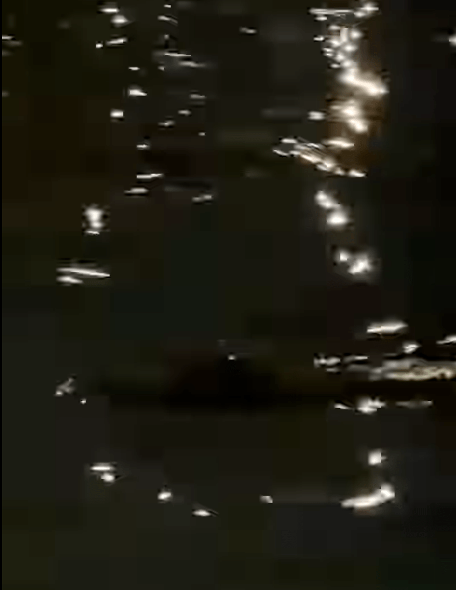 拍摄者见状忍不住发问:「点解你会落咗去嘅?你想游水都唔使咁嘅!」。 Threads@unknowndelete_aki 影片截图 拍摄者见状忍不住发问:「点解你会落咗去嘅?你想游水都唔使咁嘅!」。 Threads@unknowndelete_aki 影片截图