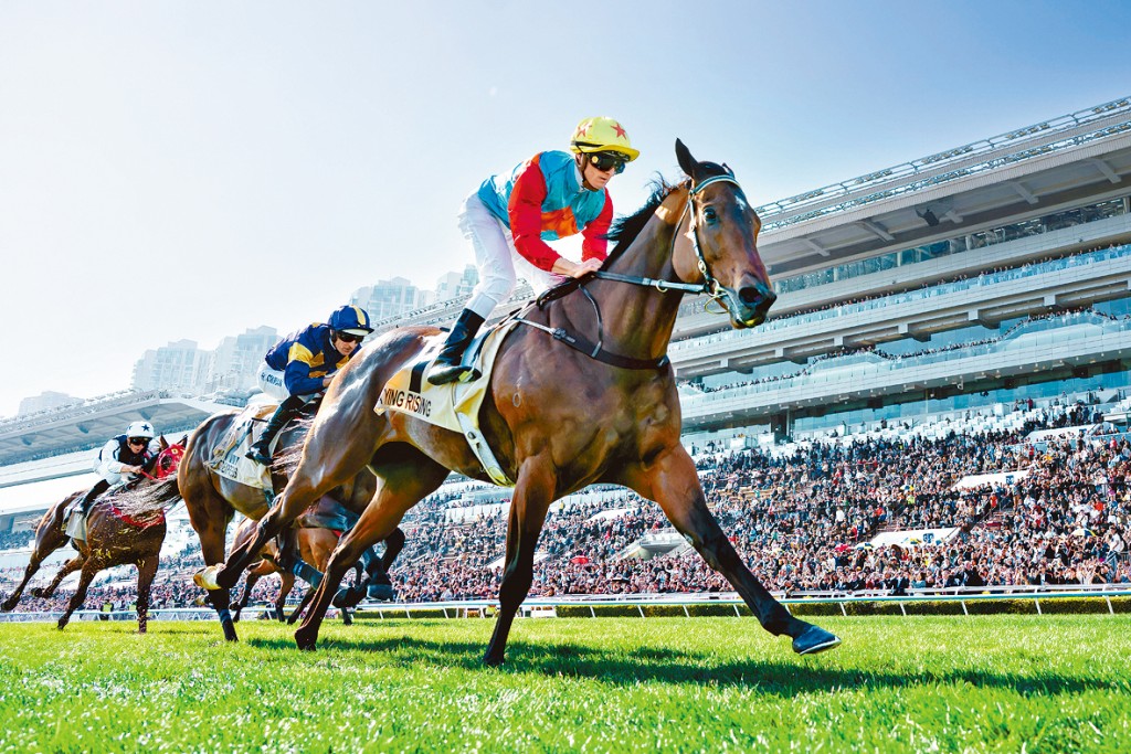 上月25日，「嘉應高昇」追平「精英大師」17連勝紀錄。