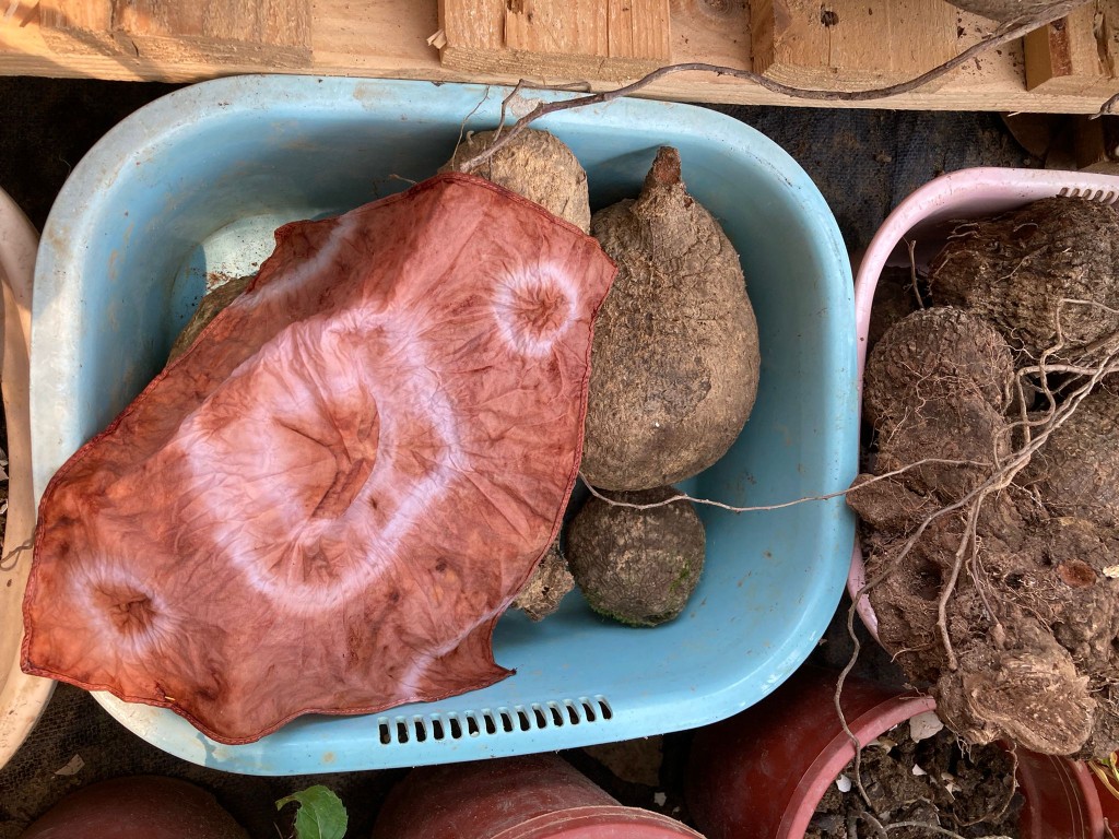 (圖片來源:《親子王》) (圖片來源:《親子王》)