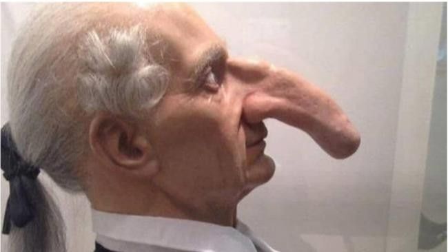 韦德斯拥有世界上最长鼻子，长达19厘米，这个惊人的纪录从18世纪以来已200多个年头没人能打破。