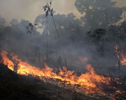 七国集团峰会领袖同意拨二千万美元协救亚马逊雨林大火。AP