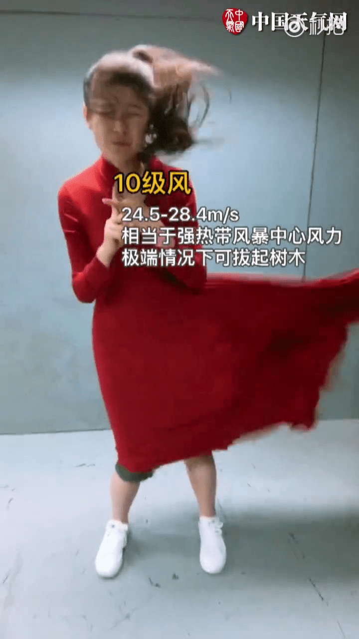 10級大風有幾勁？24.5-28.4 m/s，可拔起樹木。