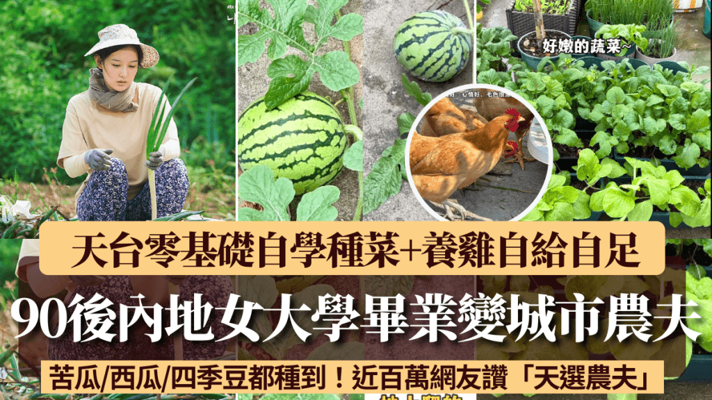 90後內地女大學畢業天台種菜 零基礎自學成功收成苦瓜/西瓜/四季豆+養雞自給自足 獲近百萬網友讚「天選農夫!」