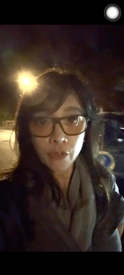 郭秀雲在元朗協助友人尋找遺失鸚鵡期間，停泊在路邊的座駕慘遭毒手，擋風玻璃被擊至碎裂。郭秀雲提供