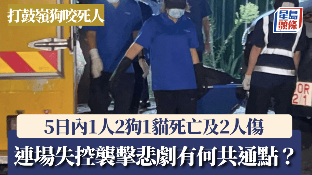 蔡楚輝攝