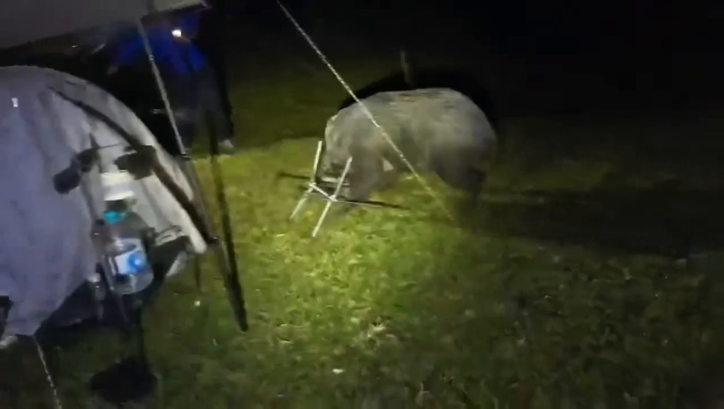 Threads截圖(資料來源:szewai_li@Threads) Threads截圖(資料來源:szewai_li@Threads)