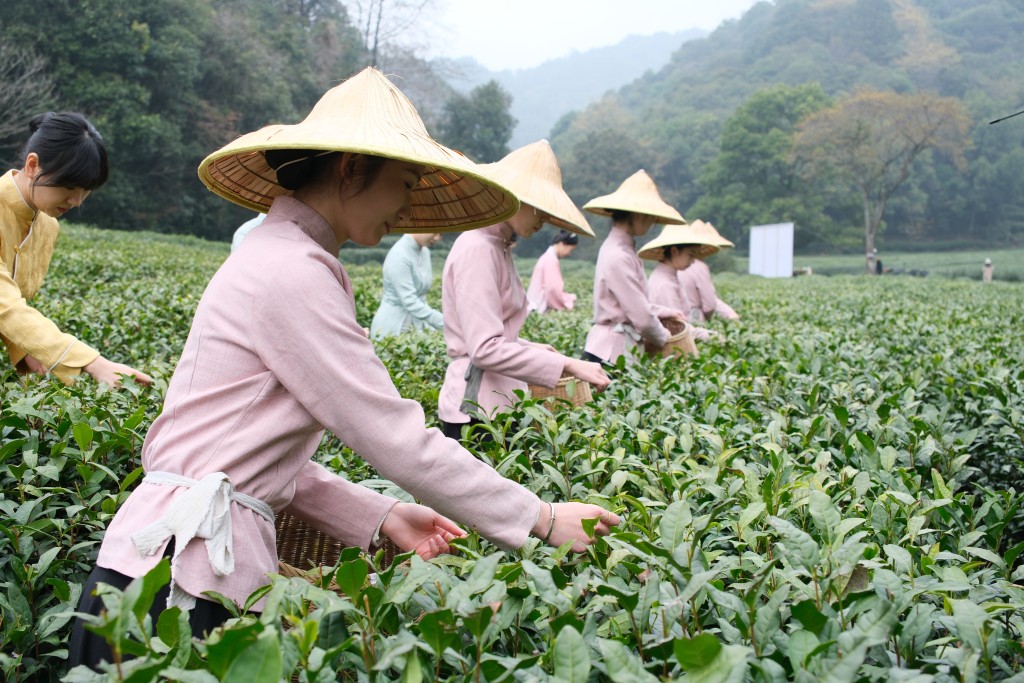 农业与历法息息相关。中新社图片 农业与历法息息相关。中新社图片