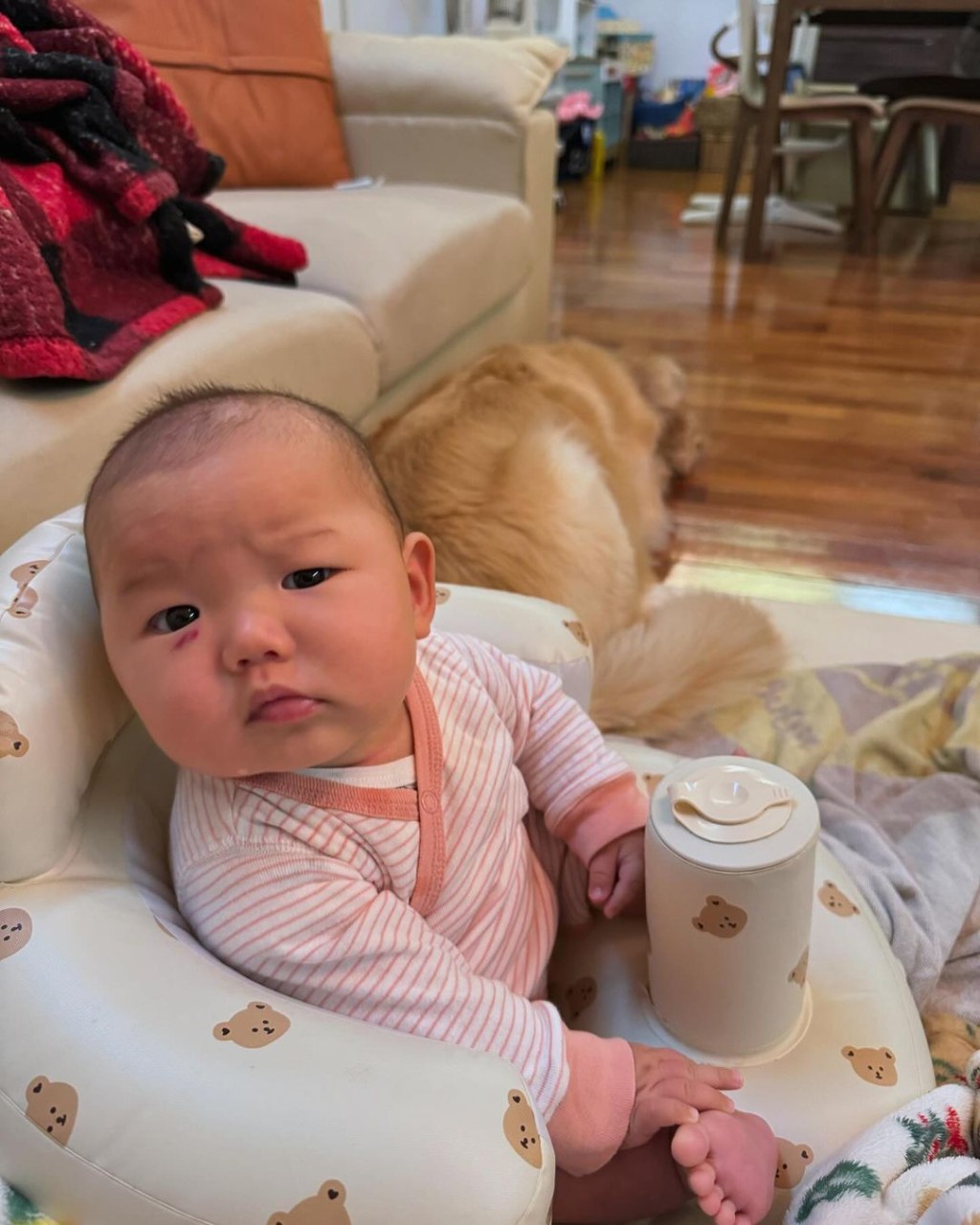 與爸爸洪永城的長相極其相似。