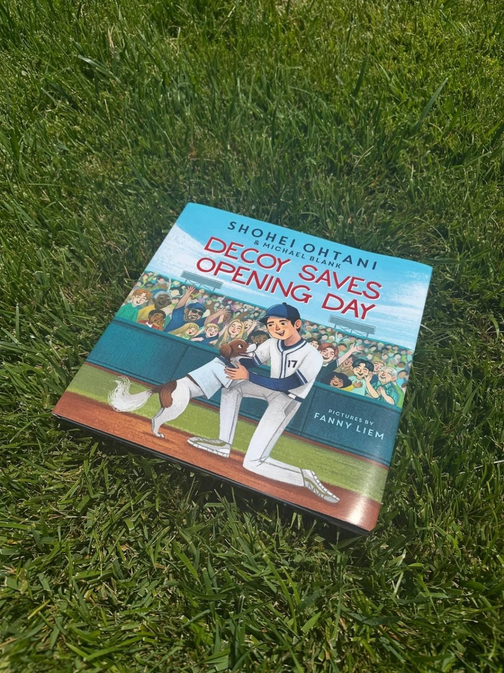 《Decopin特別的一天》繪本內容曝光。Instagram@shoheiohtani