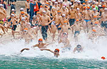 元旦冬泳賽吸引二千五百名健兒參加。