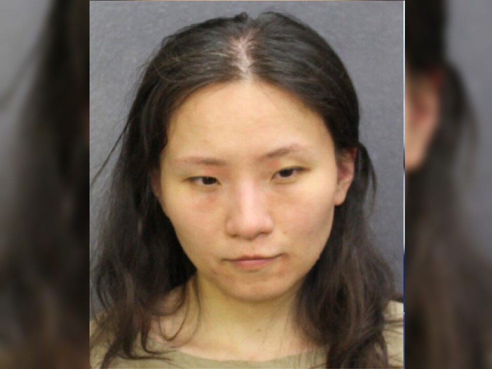 渉嫌2019年闖入時任美國總統特朗普海湖莊園別墅的女商人許玉靜亦被遣返。網圖