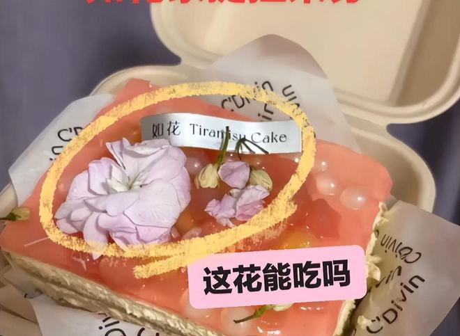 蒙城大批民眾指在食用同一家Tiramisu後身體不適。網易號@ 探源歷史 蒙城大批民眾指在食用同一家Tiramisu後身體不適。網易號@ 探源歷史