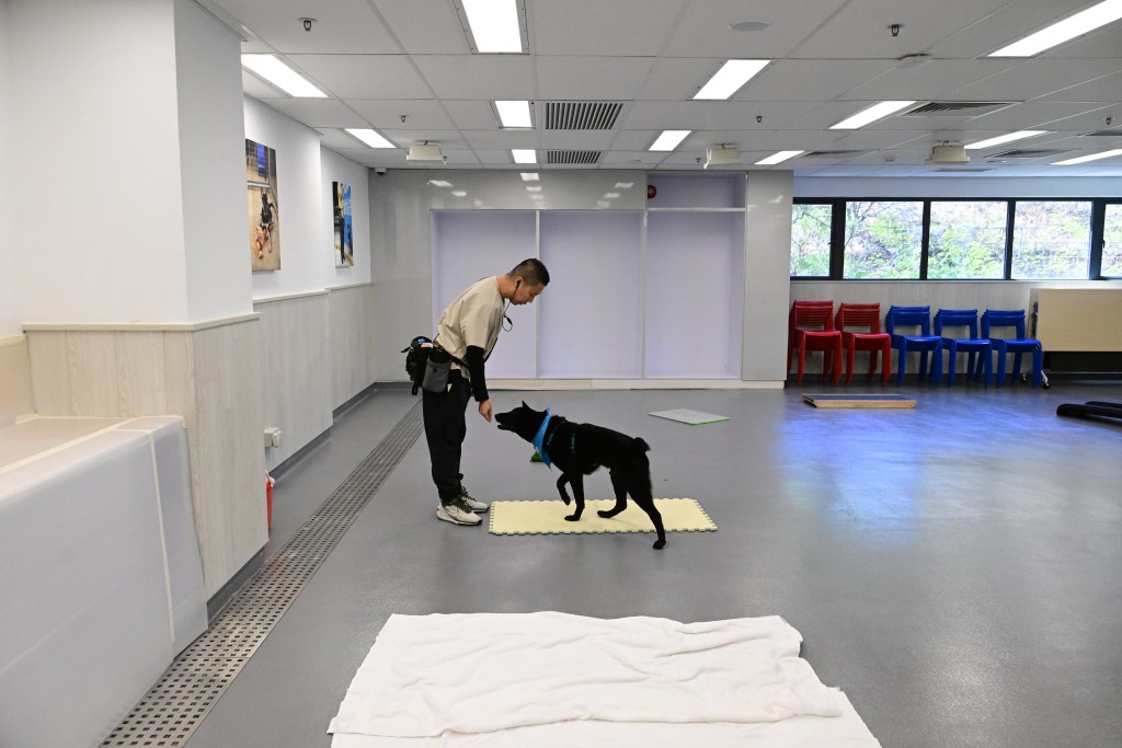 中心设有犬只训练设施。资料图片