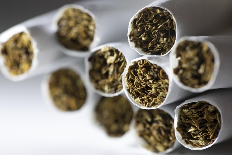 紐西蘭吸煙成年人口僅佔8%。資料圖片