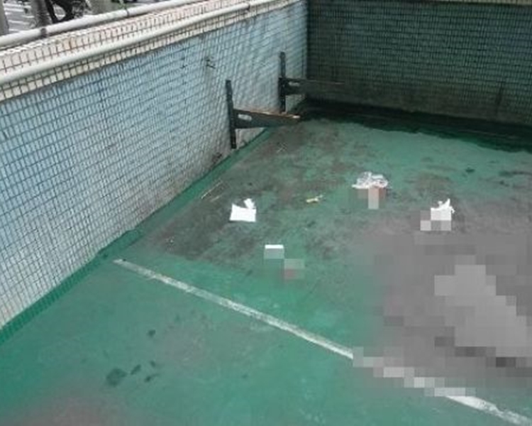 網圖