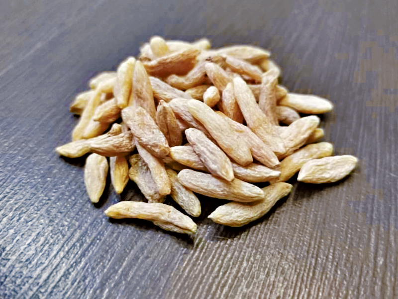 麥冬能養陰生津。